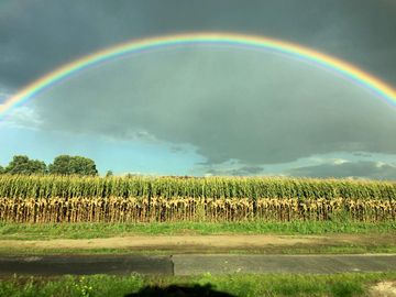 Regenbogen über einem landwirtschaftlichen Feld.